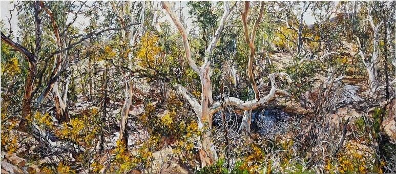 Nicholas Harding's Wilpena Wattle and Eucalypts (Sliding Rock), landscape painting  in 'TREE of LIFE: a testament to endurance' at S.H. Erving Gallery.
