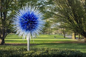 Dale Chihuly in the Adelaide Botanic Gardens